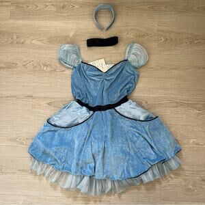 Dreamgirls Cinderella Disney costume